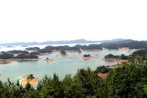 �㽭����ǧ����