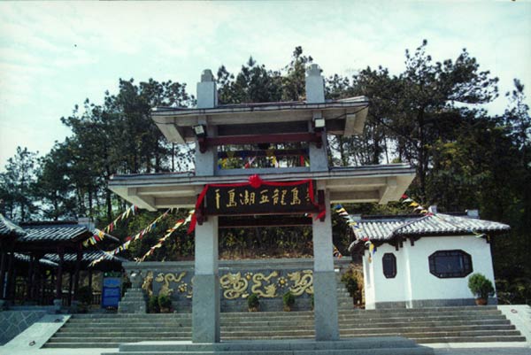 ǧ����������