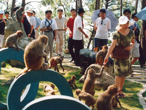 ǧ�����ﵺ