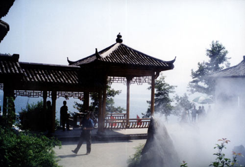 ǧ�����𻨵�