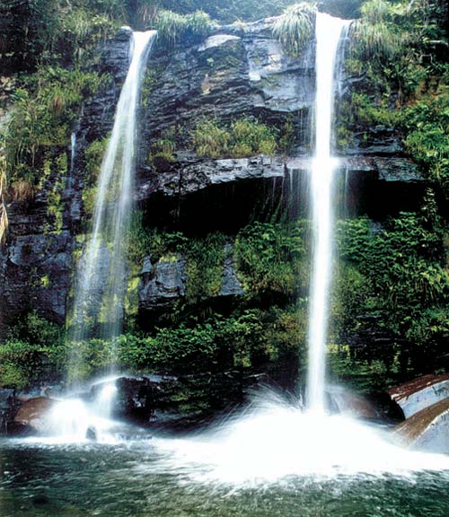 ǧ�����������ٲ�