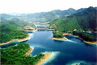 ǧ��������