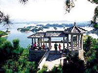 ǧ��������